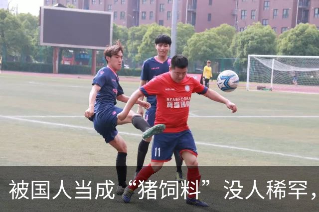 被国人当成“猪饲料”没人稀罕，远销欧美一斤上万，老外都抢着买